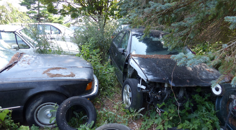 Illustration for article titled A Michigan Town Is Forcing This Man To Sell 20 Old Cars Off His Property Every Month